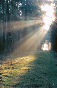 Sonnenlicht Sonnenlicht